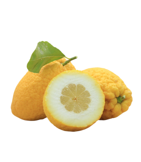 Cedro siciliano biologico