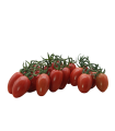 Pomodoro Datterino Bio Box 2,5 Kg