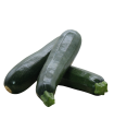 Zucchina Bio
