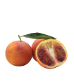 Arancia Tarocco Ippolito Bio
