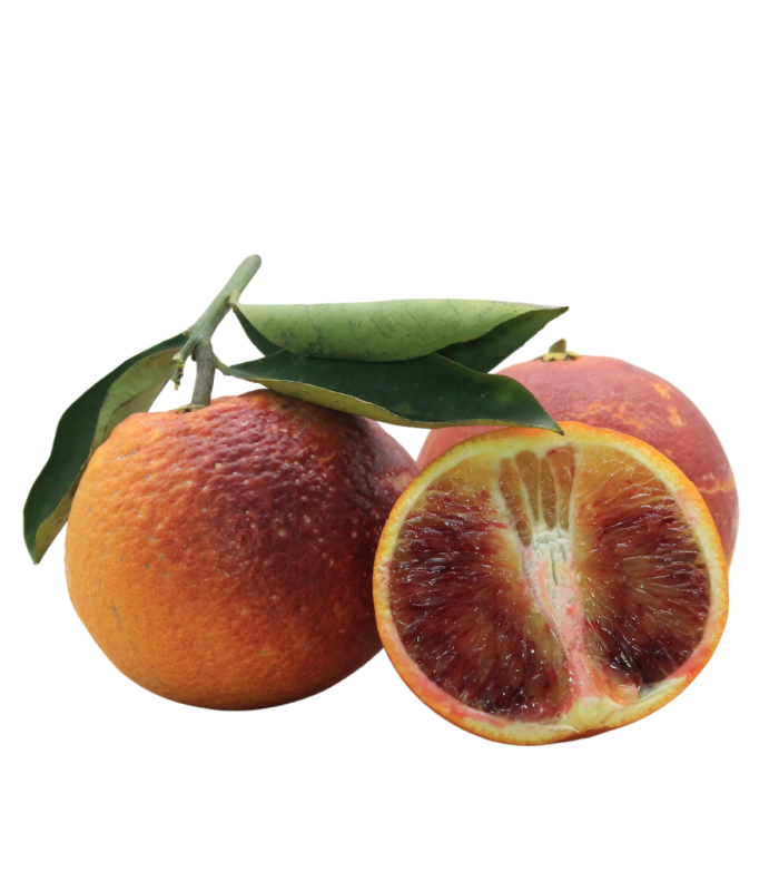 Arancia Tarocco Ippolito Bio