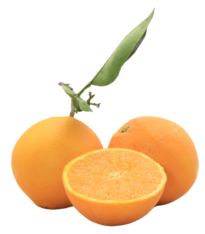 Arancia Lanelata Bio