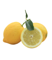 Limoni Bio