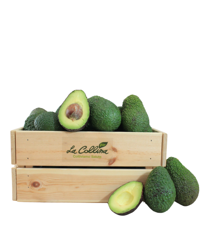 Avocado Hass Mini (70 - 100 g) Bio
