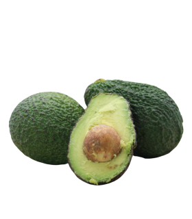 Avocado Hass Bio
