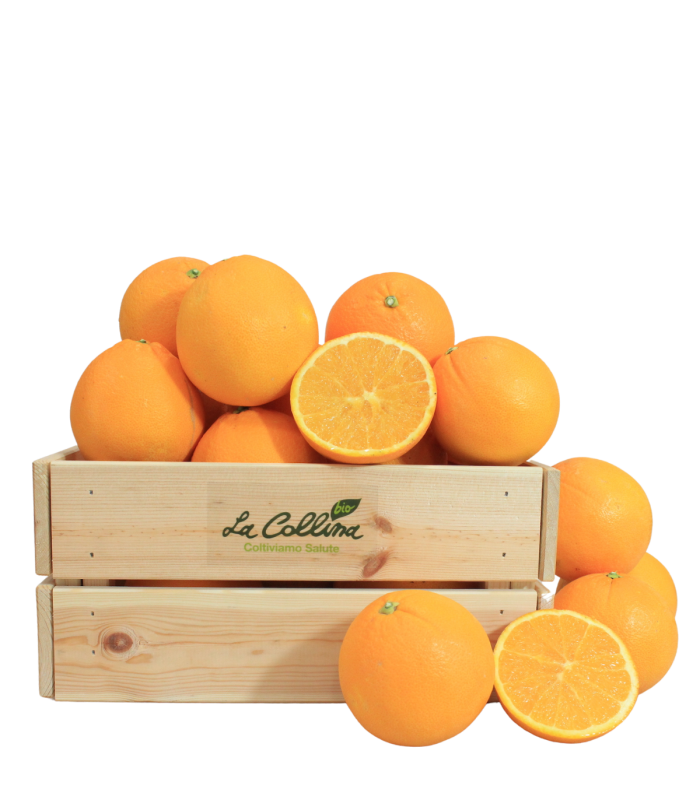 Arancia Lanelata Bio
