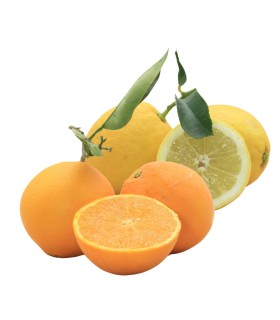 Box Mista Arance + Limoni 4Kg Bio