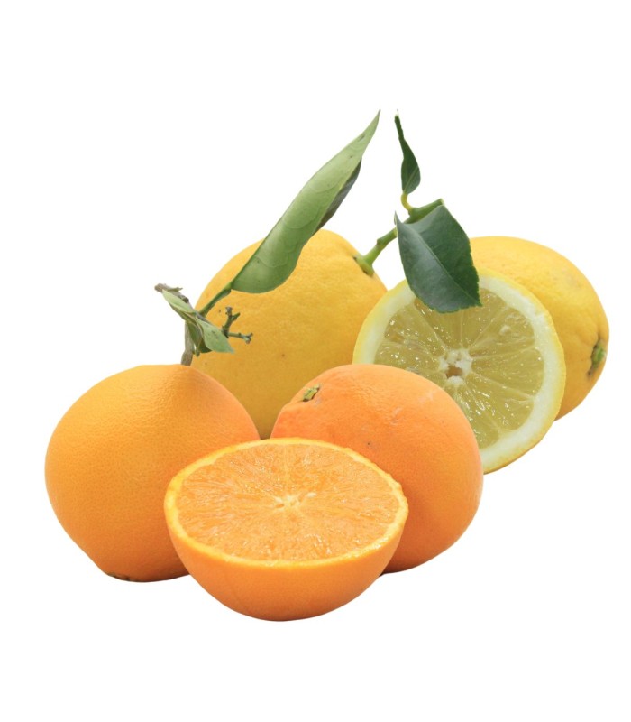 Box Mista Arance + Limoni 4Kg Bio