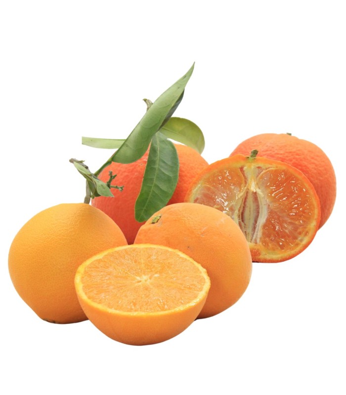 Box Mista Arance + Clementine 4Kg Bio