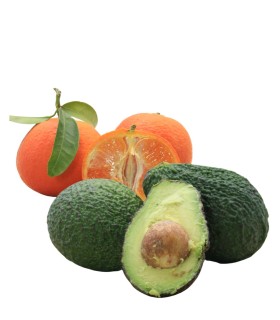 Box Mista Avocado + Clementine 5Kg Bio