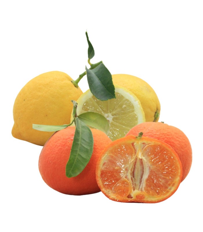 Box Mista Limoni + Clementine 5Kg Bio