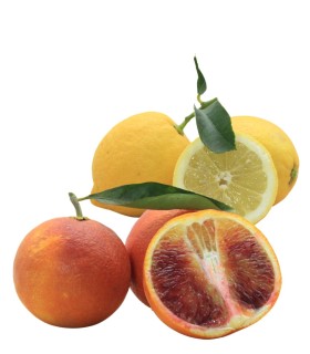 Box Mista Tarocco Ippolito + Limoni 5Kg Bio