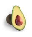 Avocado Fuerte Bio