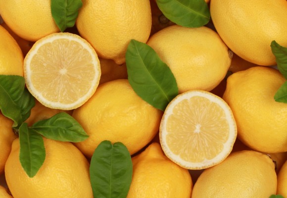 Limoni Collina Bio: Il Gusto e la Qualità della Sicilia in un Solo Frutto