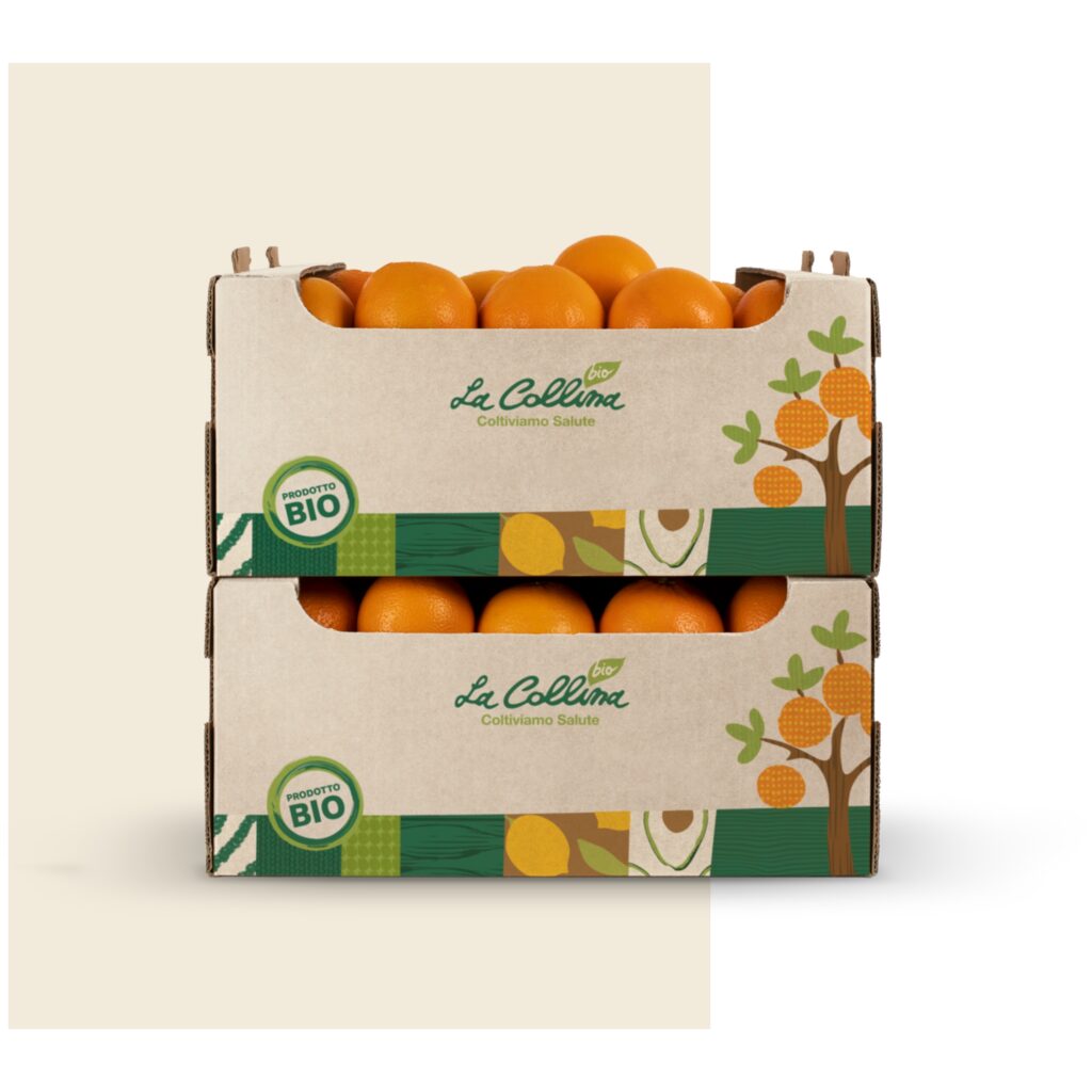 Cassette di arance biologiche La Collina Bio coltivate in Sicilia
