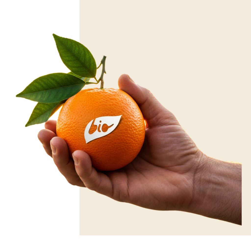 Mano che tiene arancia biologica coltivata in Sicilia La Collina Bio
