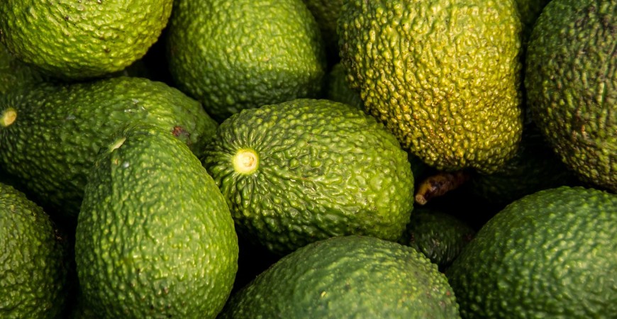 La Collina Bio a Biolife 2023 a Bolzano con focus su avocado biologico siciliano e stile di vita sostenibile.